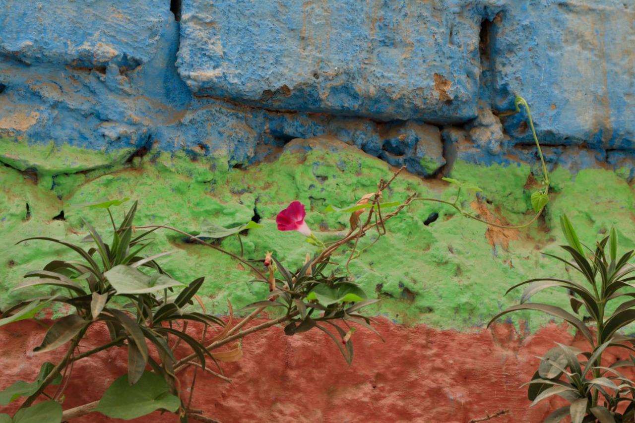 Riad Maryam Taroudant Esterno foto